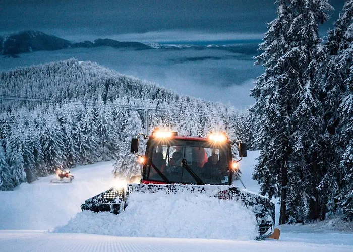 майоровата къща *